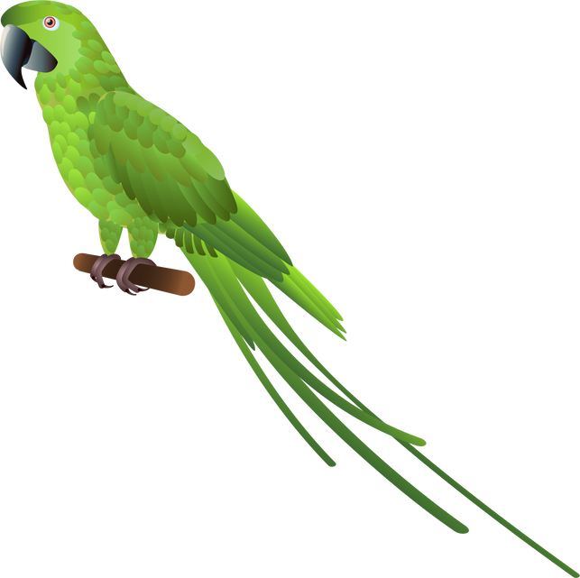 Green Parrot Illustration 